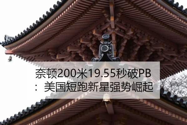 nai-dun-mi-miao-po-mei-guo-duan-pao-xin-xing-qiang-shi-jue-qi-2-957.jpg