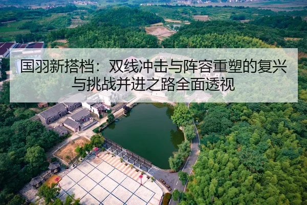 国羽新搭档：双线冲击与阵容重塑的复兴与挑战并进之路全面透视